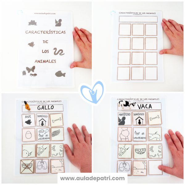 Características de los animales (R. Descargable)